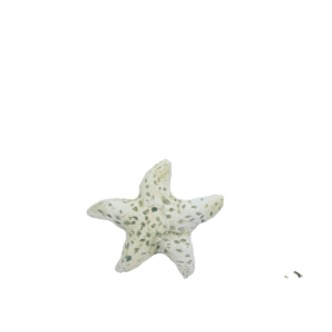 Rozgwiazda DELFIN 10 x 9 cm