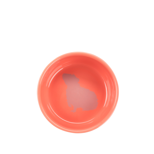 milavet-miska-ceramiczna-z-motywem-świnki-morskiej-trixie-czerwona-250ml(1)