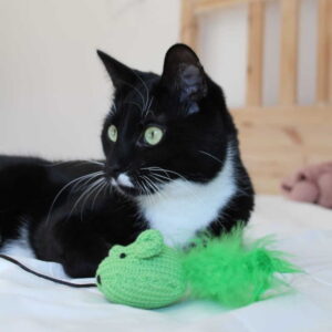 Wędka dla kota z myszką DINGO zielona 45cm