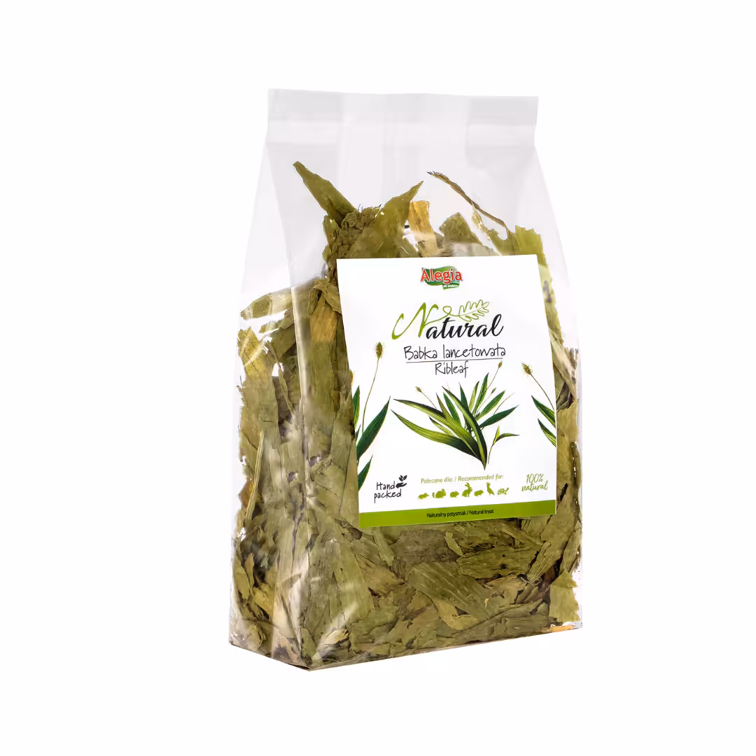 Babka lancetowata ALEGIA 300 g