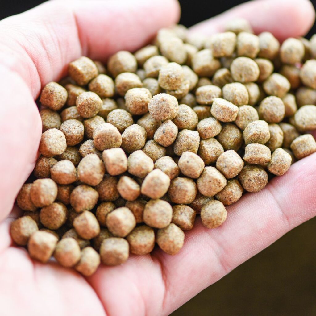 wędkarstwo zanęty i przynęty naturalne pellety