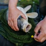 wędkarstwo method feeder łączniki
