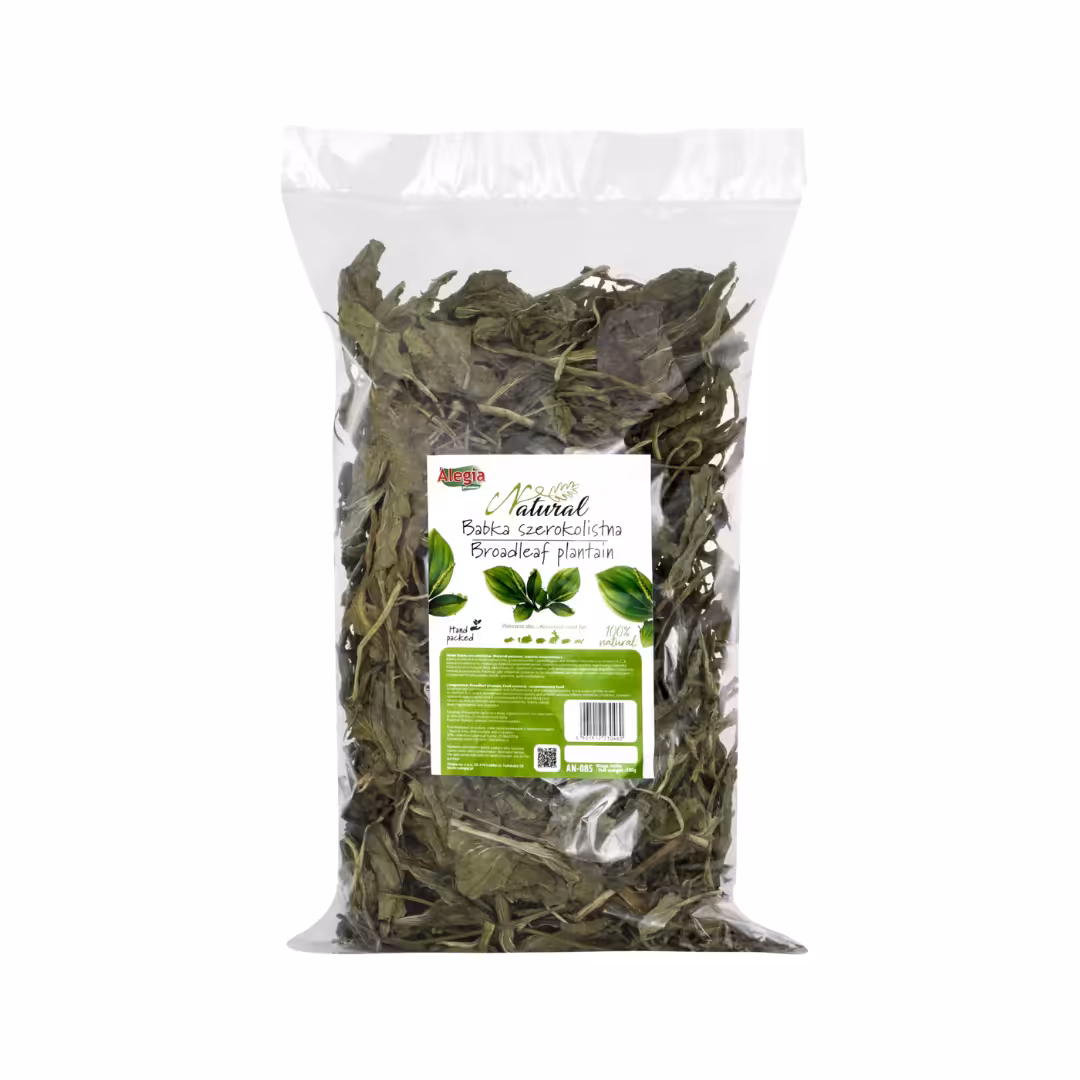 ALEGIA Natural Babka szerokolistna 100g