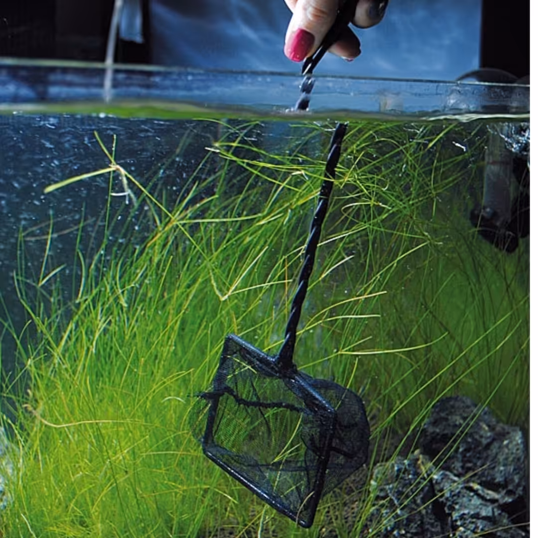 AQUA NOVA Siatka akwariowa N-03