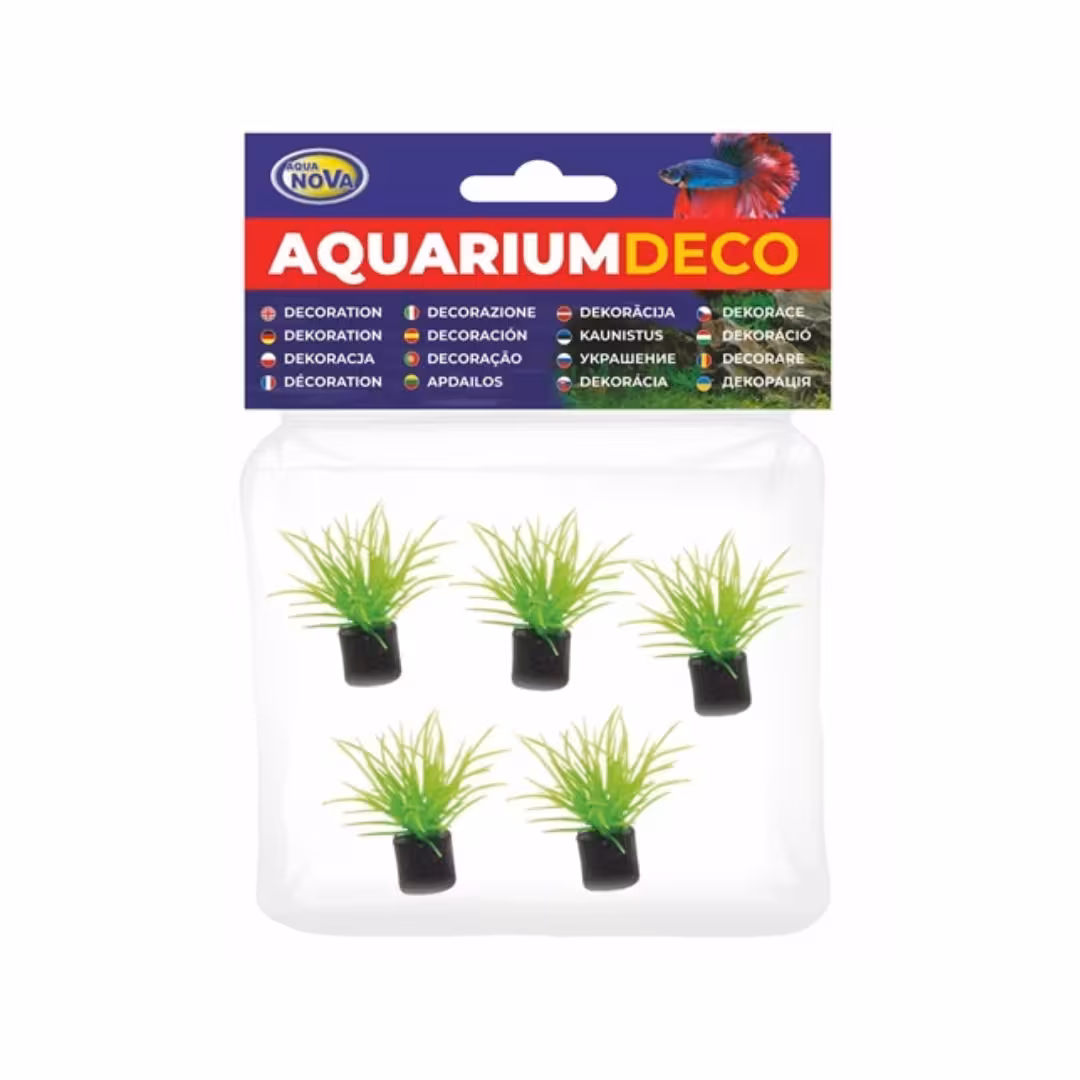 AQUA NOVA Zestaw sztucznych roślin 3cm 5szt/op