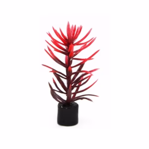 AQUA NOVA Zestaw sztucznych roślin 8cm 5szt/op