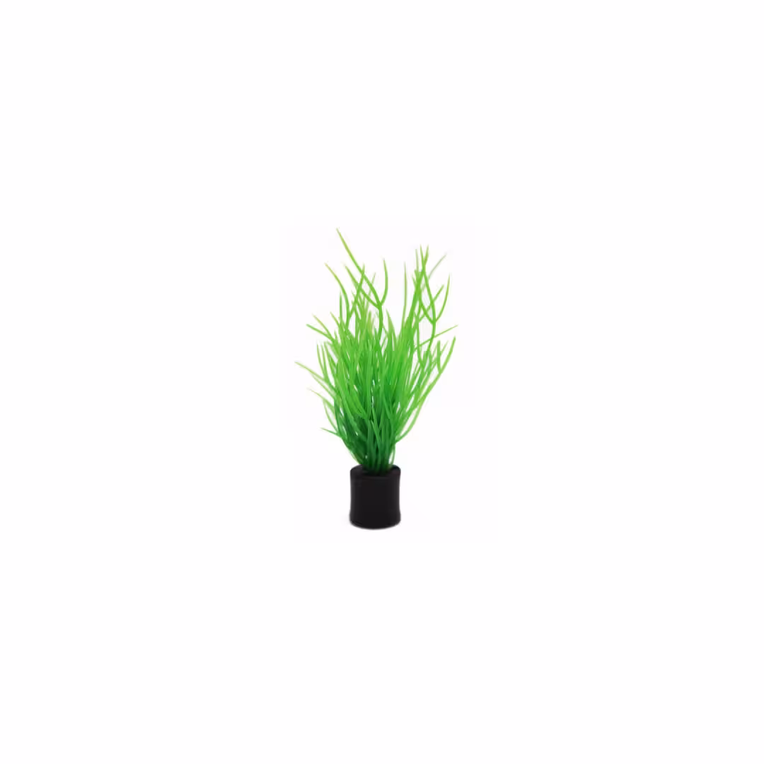 AQUA NOVA Zestaw sztucznych roślin 8cm 5szt/op