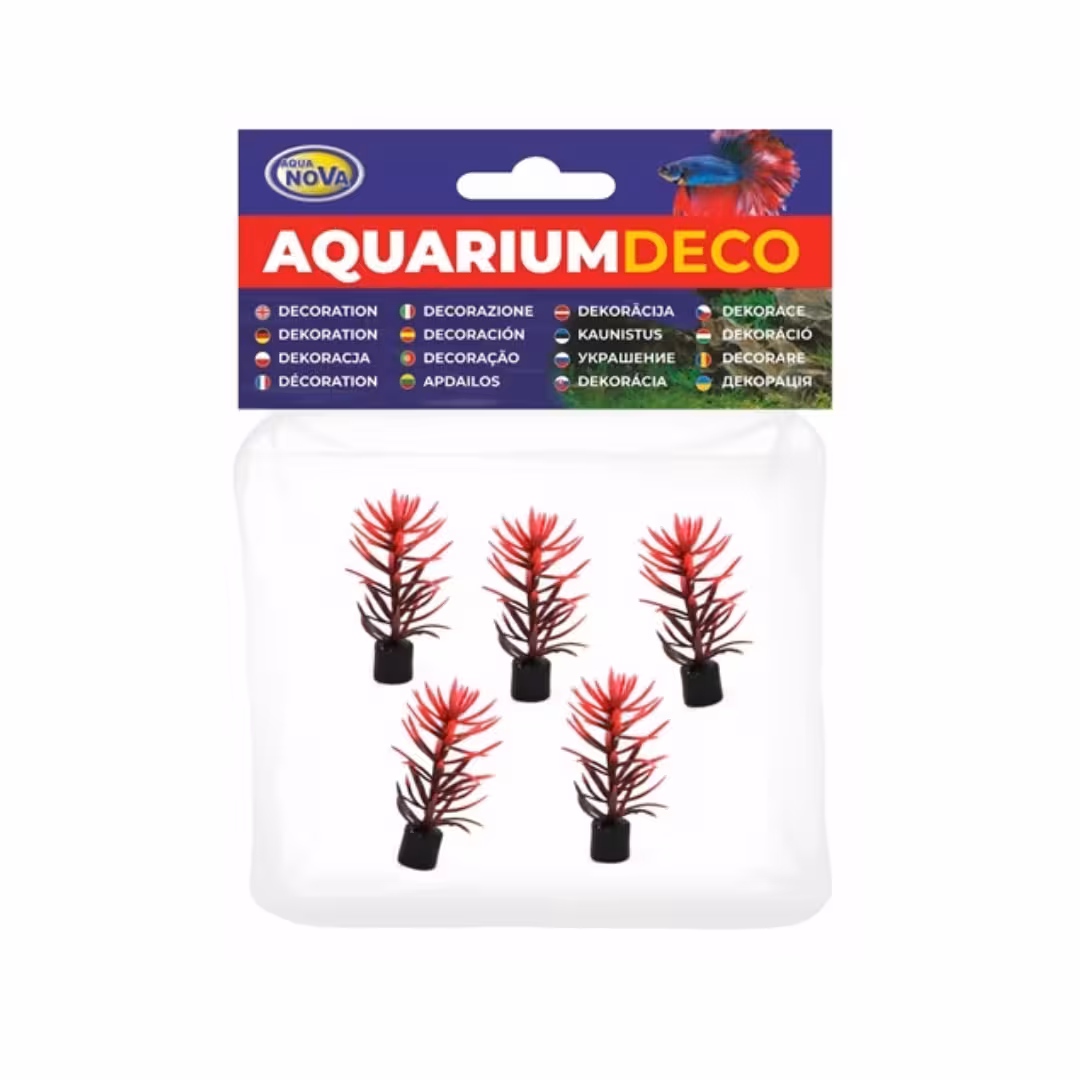 AQUA NOVA Zestaw sztucznych roślin 8cm 5szt/op