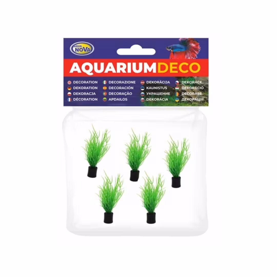 AQUA NOVA Zestaw sztucznych roślin 8cm 5szt/op