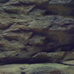 AQUA NOVA tło akwariowe dwustronne ROCK PLANTS S 60 × 30 cm