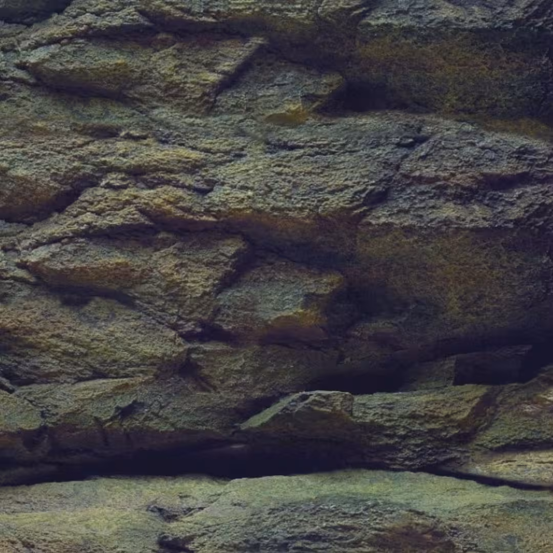AQUA NOVA tło akwariowe dwustronne ROCK PLANTS S 60 × 30 cm