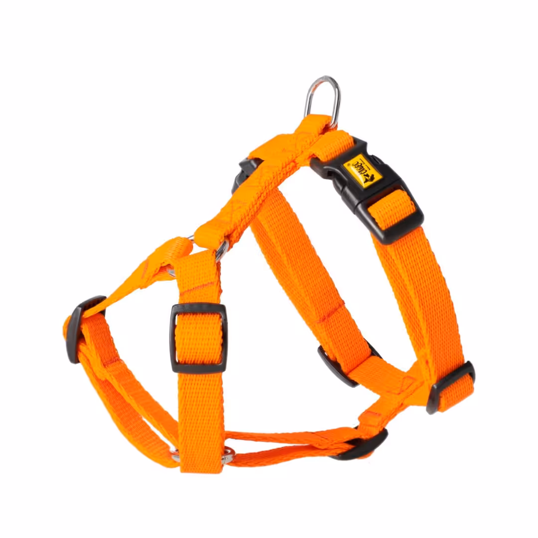 DINGO Szelki Guard dla psa size S