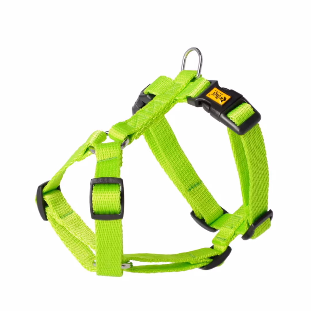 DINGO Szelki Guard dla psa size S