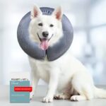 POLISEPT VET® CARE COLLAR kołnierz pooperacyjny S