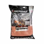 GERMINA Zanęta Gruba Truskawka 3kg