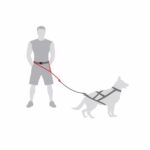 DINGO Pas do biegania 4in1