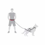 DINGO Pas do biegania 4in1