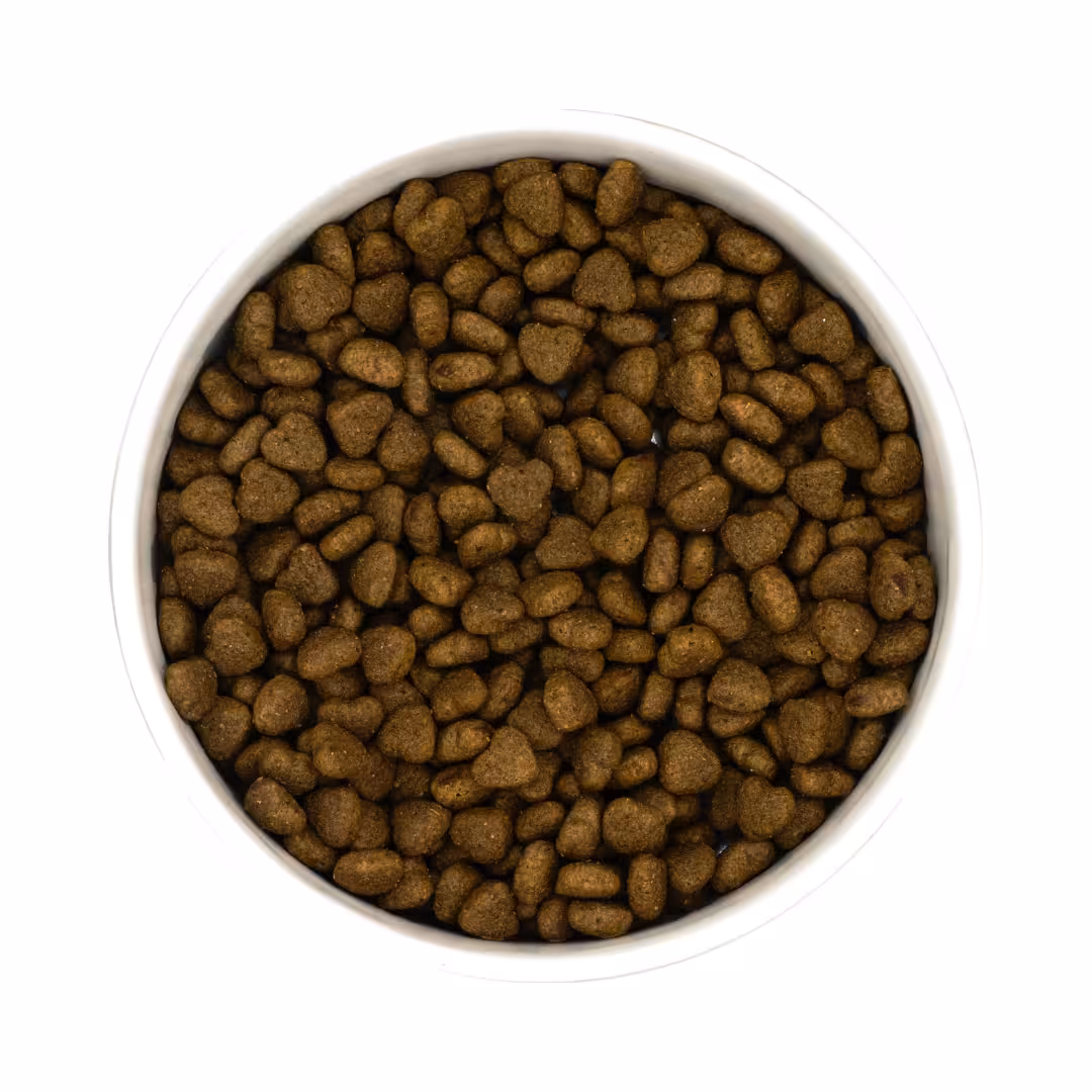 PURE PEPTIDE Veterinary Diet DIGESTIVE CARE 1.5kg - karma weterynaryjna sucha dla kota