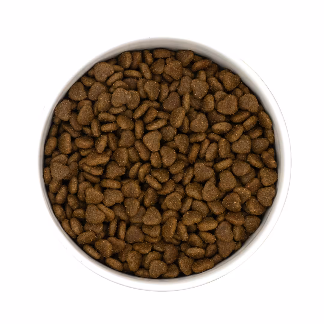 PURE PEPTIDE Veterinary Diet SKIN COAT AND HAIRBALL CONTROL 1.5 kg - karma sucha dermatologiczna dla kota