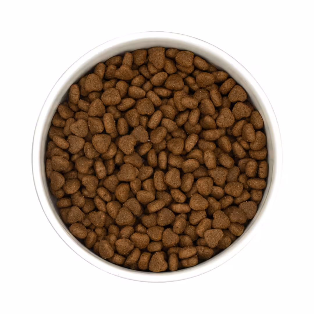 PURE PEPTIDE Veterinary Diet URINARY CARE 1.5kg - karma weterynaryjna sucha dla kota