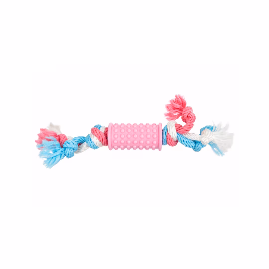 BARRY KING Zabawka dla psa roller 6,5 cm
